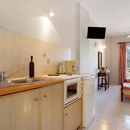 Dolphin Sea View 11 *